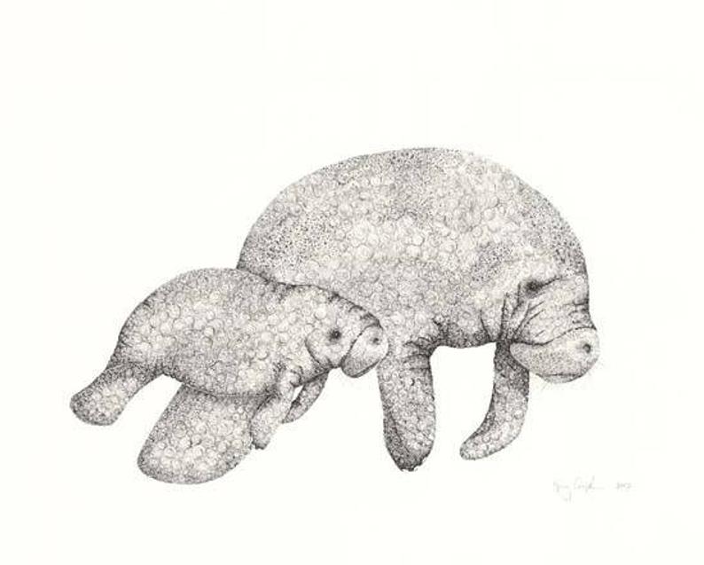 Manatee Family