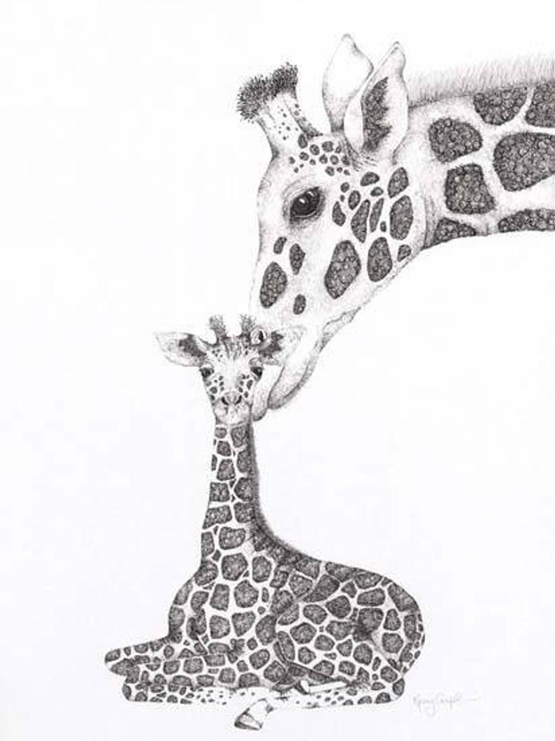Giraffes