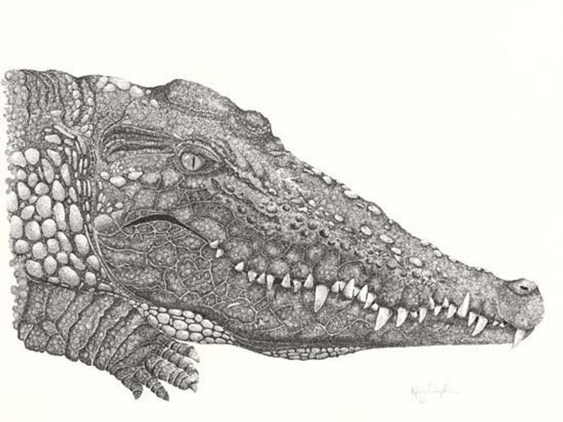 Philippine Crocodile