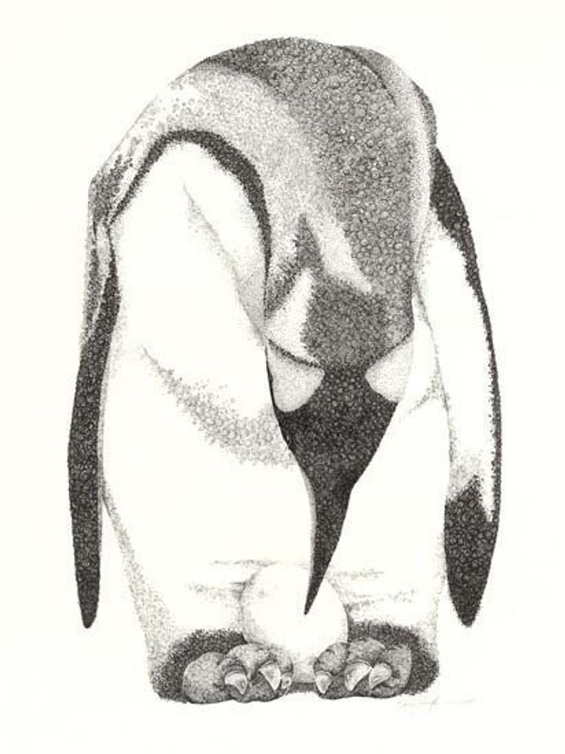 Emperor Penguin