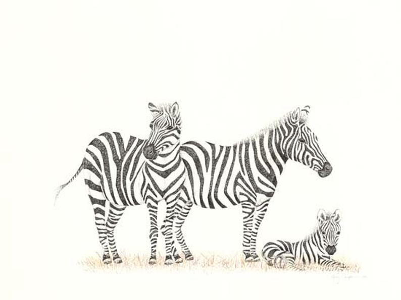 Zebra Family