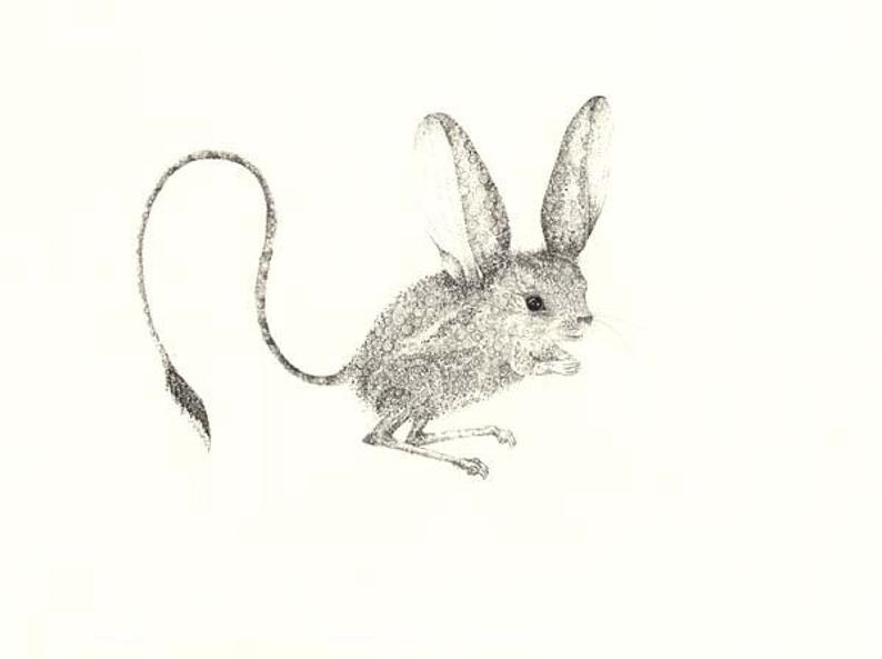 Jerboa