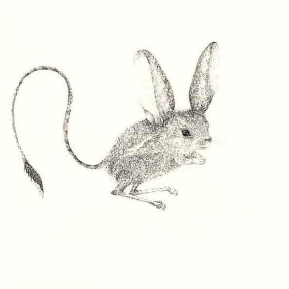 Jerboa