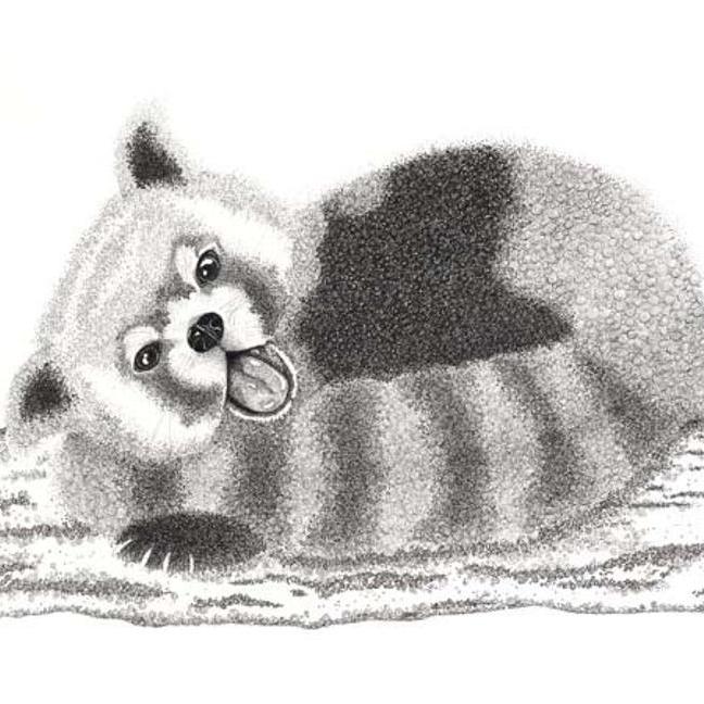 Red Panda